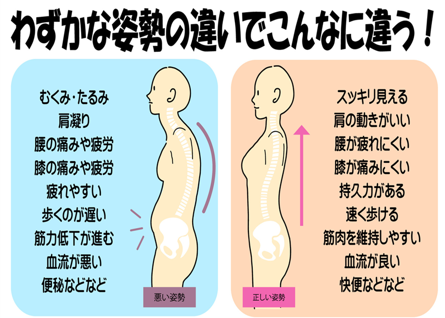 腰や膝の痛みの原因で、内臓機能や低下で疲れやすさの原因にもなるため、姿勢矯正で骨格の歪みを改善