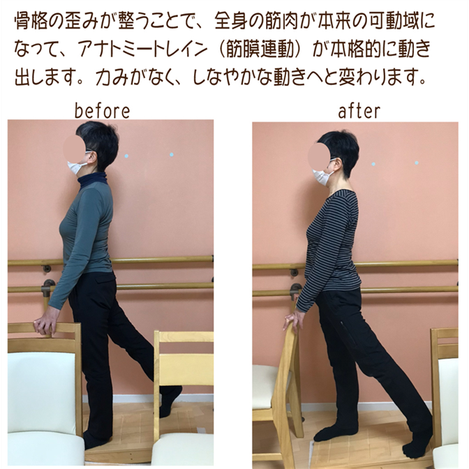 アナトミー・トレインの筋膜連動が正常に解されていくと、筋肉がしなやかに変わるトレーニング方法