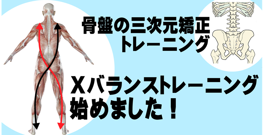 骨盤の傾きや歪み改善に、骨盤矯正トレーニングとXバランストレーニングで効果的な姿勢矯正をサポート